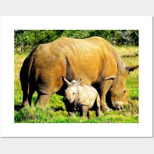 African Wildlife Photography Rhinoceros Mother and Calf Posters and Art